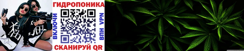 где найти Приозерск ссылка на мегу ТОР Бошки Шишки LSD WEED